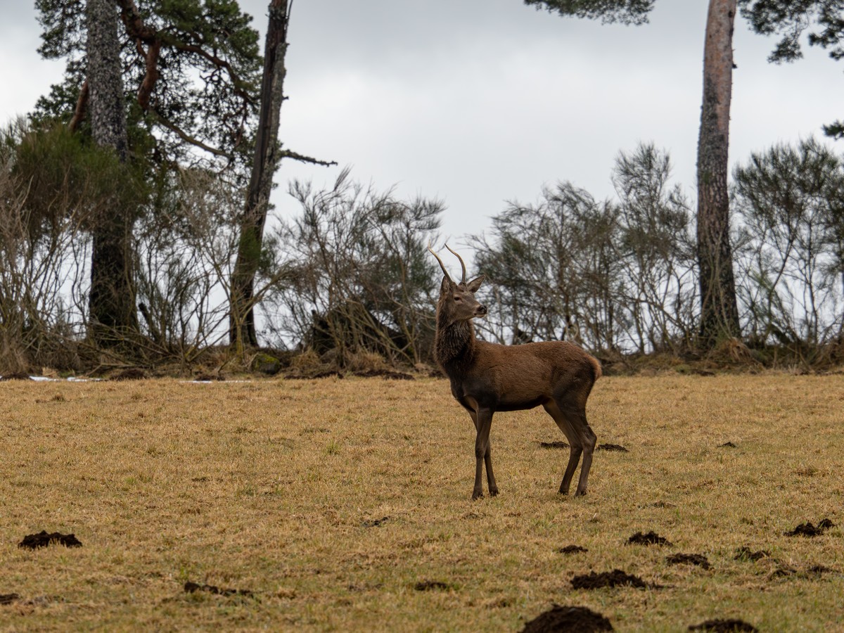 02022026-02 02 26 (5).jpg